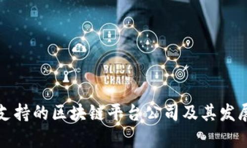 央视支持的区块链平台公司及其发展解析