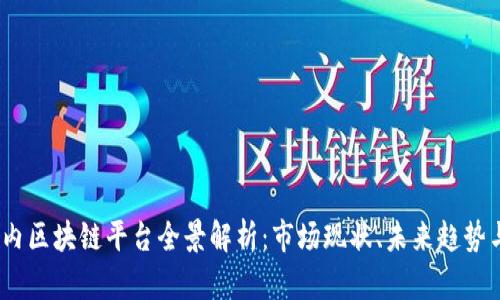 2023年国内区块链平台全景解析：市场现状、未来趋势与投资机会