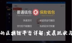 国内最大的区块链平台详解：发展现状与未来趋